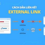 Cách đặt External Link hiệu quả