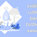 Chiến lược Đại dương xanh & 4 nguyên tắc xây dựng cho doanh nghiệp
