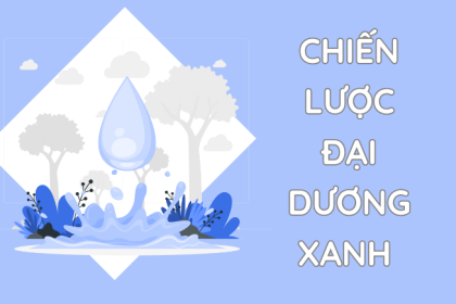 Chiến lược Đại dương xanh & 4 nguyên tắc xây dựng cho doanh nghiệp