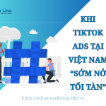 Từ viral đến vô danh 2024-2025: Khi TikTok Ads tại Việt Nam “Sớm nở tối tàn”